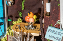 Load image into Gallery viewer, DIY Miniature House Kit: Borrowed Garden