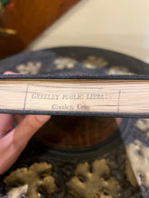 Load image into Gallery viewer, Hugo's Odyssey, by Hugo Evon Frey (Signed)