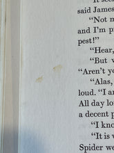 Load image into Gallery viewer, James and the Giant Peach, by Roald Dahl