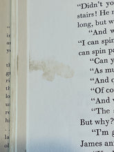 Load image into Gallery viewer, James and the Giant Peach, by Roald Dahl