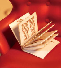 Load image into Gallery viewer, DIY Miniature House Book Nook Kit: Bookstore