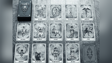 Load image into Gallery viewer, Shawn Coss Tarot Deck