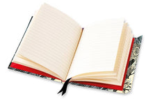 Load image into Gallery viewer, Angela Harding: Wild Light (Foiled Journal)
