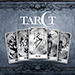 Load image into Gallery viewer, Shawn Coss Tarot Deck
