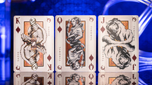 Load image into Gallery viewer, Mistborn Playing Cards
