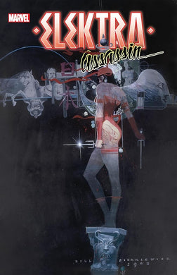 ELEKTRA: ASSASSIN [NEW PRINTING 2] cover image