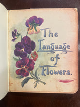Load image into Gallery viewer, The Language of Flowers, by Margaret Pickston
