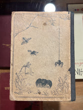 Load image into Gallery viewer, Sea-Side and Way-Side No. 1, Julia McNair Wright
