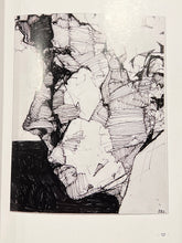 Load image into Gallery viewer, Pictures Showing Gravity's Rainbow, Zak Smith
