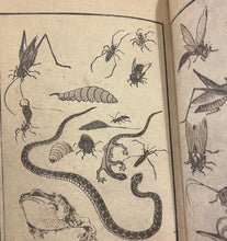 Load image into Gallery viewer, Hokusai Manga, by Jocelyn Bouquillard
