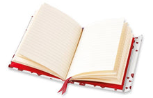 Load image into Gallery viewer, Alice's Adventures in Wonderland: White Rabbit (Foiled Journal)
