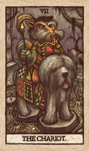 Load image into Gallery viewer, Labyrinth Tarot Deck and Guidebook
